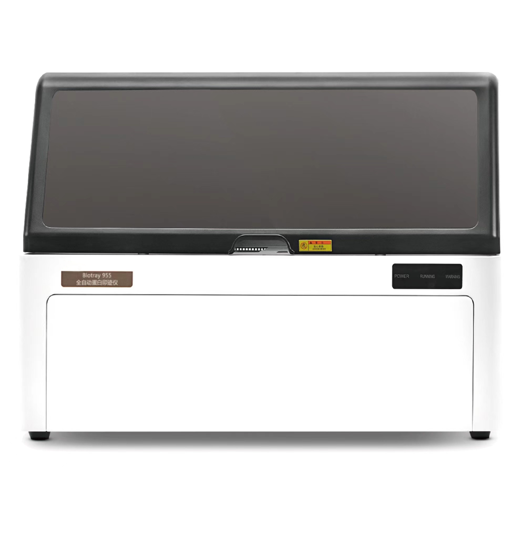 Blotray-955全自动免疫印迹仪